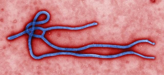virus-ebole