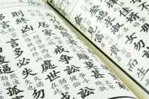 Kursevi kineskog jezika i kulture