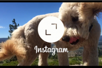 Novo pravilo na Instagramu: Zaboravite InstaSize