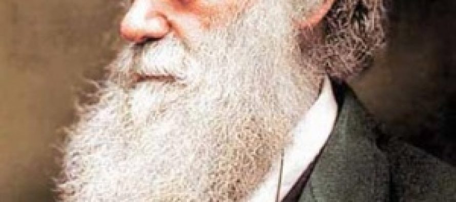 „Ukradene“ sveske Čarlsa Darvina ostavljene na podu biblioteke u ružičastoj poklon vrećici