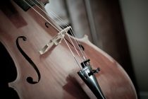 Novi Sad: Koncerti studenata violončela