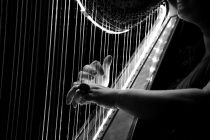 Beograd: 15. Međunarodni festival harfe