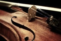 Novi Sad: Koncert studenata violine