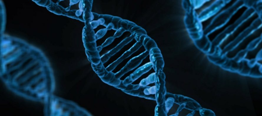 Stvaranje veštačke DNK – samo za naučna ispitivanja?