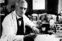Zanimljive činjenice o prvom antibiotiku na svetu- penicilinu