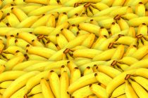 Kako izabrati najbolje banane?