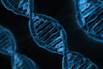 Sekvenca ljudskog genoma bez “rupa” kompletirana po prvi put