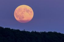 Da li Mesec zaista utiče na naše ponašanje?