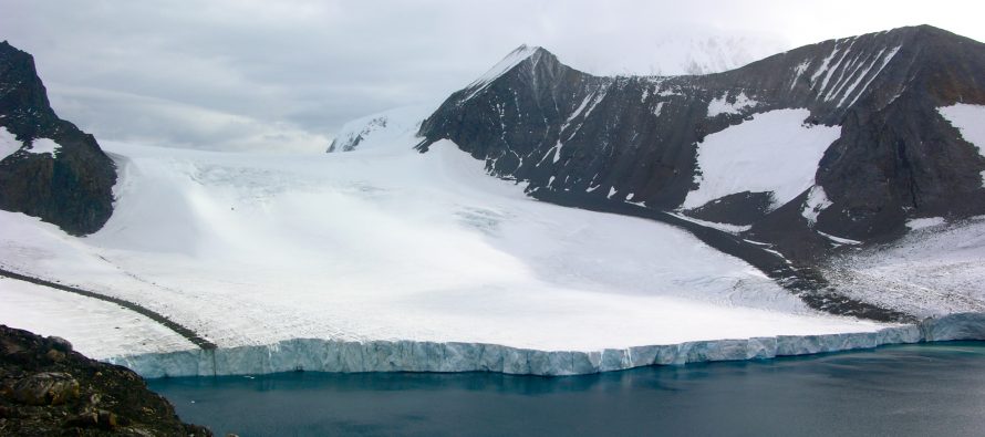 Visoke temperature i zelenilo na Antarktiku