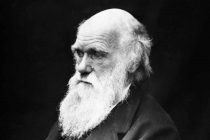 Sve što niste znali o Čarlsu Darvinu