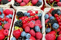 Ovo voće jedite svaki dan ako želite da ne dobijete višak kilograma
