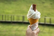 Sladoled nas čini pametnijima?