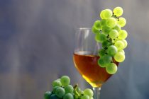 Sir poboljšava ukus vina