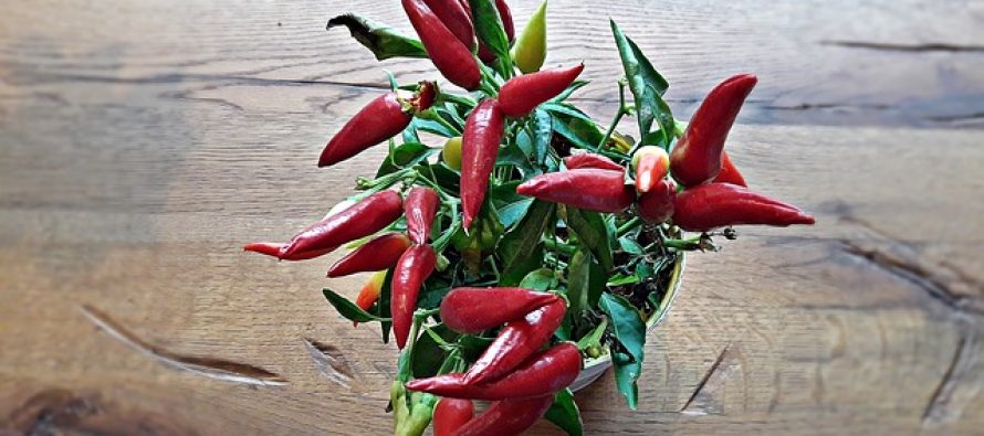 Kako ljuta paprika čuva naše zdravlje?