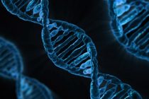 Mutacije DNK se ne odigravaju nasumično