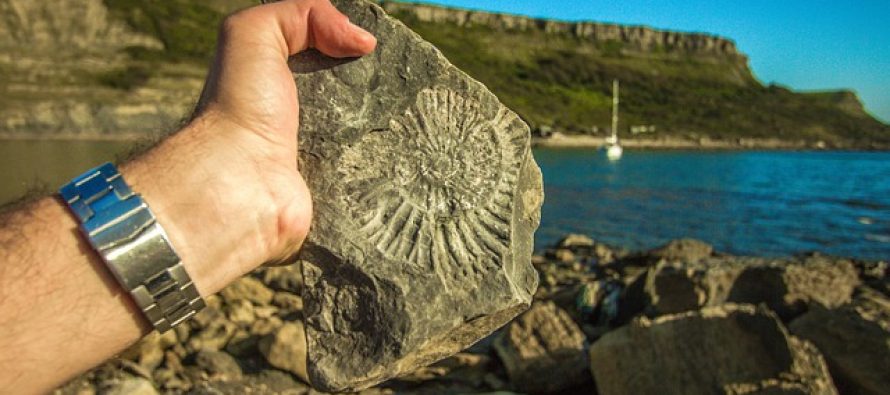 Otkriven najstariji potvrđeni dokaz o životu na Zemlji