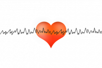 Šta utiče na pojavu srčanih oboljenja?