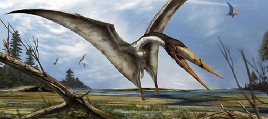 Pronađeno preko 200 savršeno očuvanih jaja pterosaura