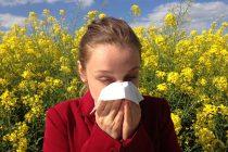 Novi pristup alergijama mogao bi da spreči reakciju pre nego što se desi?