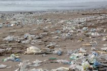 Ronioci apeluju – plastika na morskom dnu!