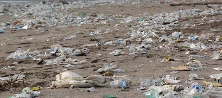 Ronioci apeluju – plastika na morskom dnu!