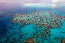 Australija nudi 1,6 milion dolara za najbolju ideju spašavanja Koralnog grebena!