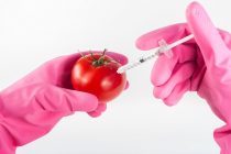 Skriveni kod koji pokazuje da je hrana GMO