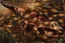 Otkrivena nova vrsta megaraptora
