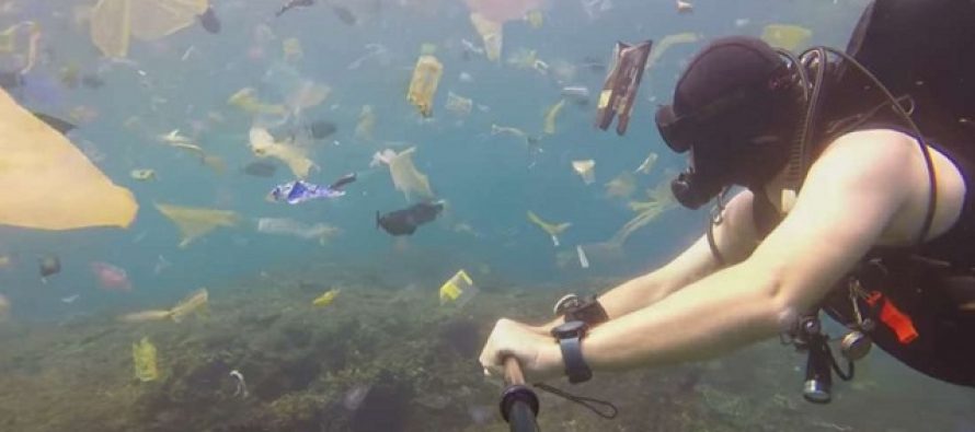 Surova realnost: Ronjenje na Baliju sa plastičnim otpadom (VIDEO)