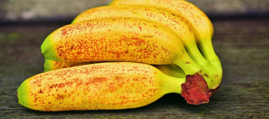 Ne jedete banane svaki dan? Ovaj tekst će vas možda razuveriti!