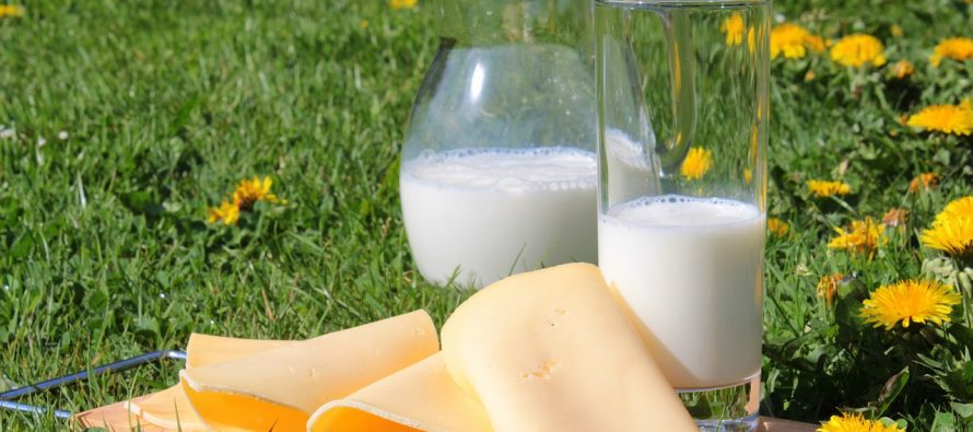 Istina o mlečnim proizvodima: Šta goji, a šta treba da izbegavamo?