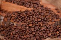 Kako klimatske promene utiču na proizvodnju kafe?
