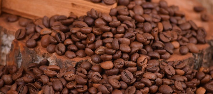 Kako klimatske promene utiču na proizvodnju kafe?