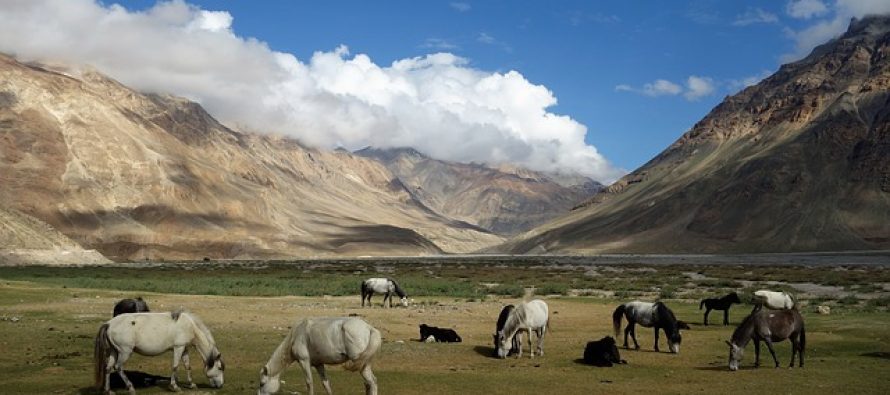 U čemu je tajna dugog životnog veka ljudi sa Himalaja?