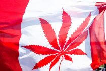 Kanada legalizovala kanabis
