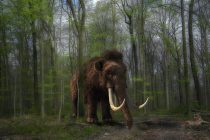 Pronađen prvi dokaz kako su ljudi zapravo lovili gigantske mamute