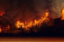 Sateliti uočili čak 4 hiljade novih požara u Amazonu!