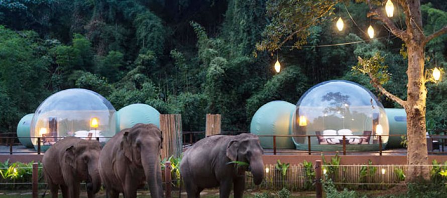 Neobični hotel s pogledom na slonove