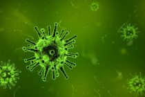 Koronavirus se raširio velikom brzinom krajem 2019. godine
