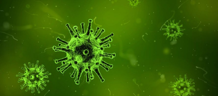 Metode koje će nam pomoći da se oslobodimo straha od koronavirusa