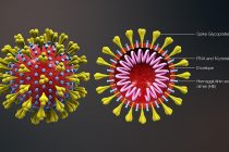 Ozbiljnost prenošenja virusa preko vazduha