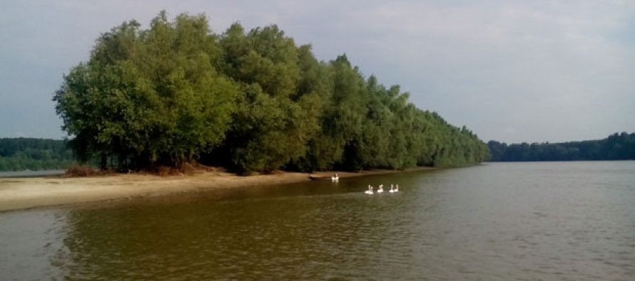 Rajsko ostrvo na Dunavu