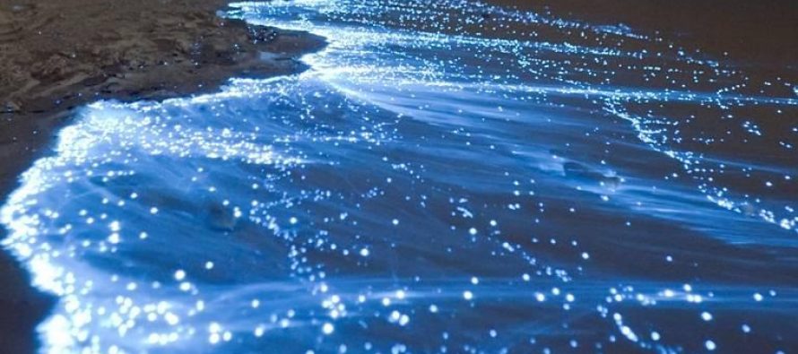 Fenomen svetlećih jezera