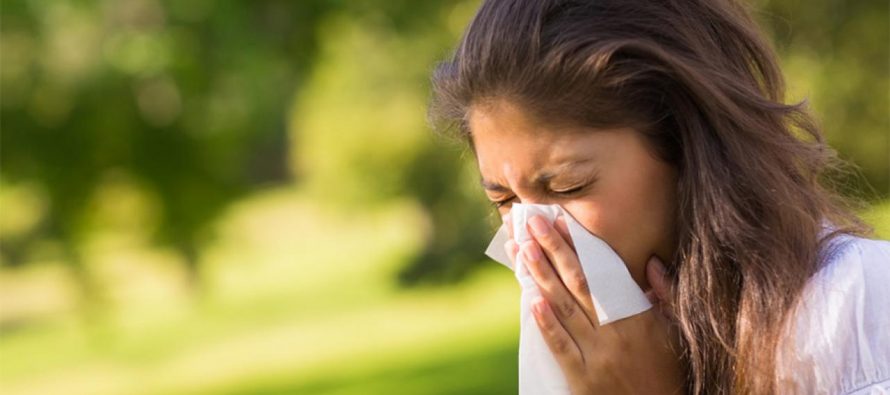 Kako se pripremiti i kako prepoznati alergije