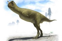 Nova vrsta grabljivog dinosaurusa “bez ruku” pronađena u Argentini