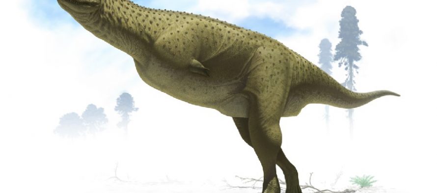 Nova vrsta grabljivog dinosaurusa “bez ruku” pronađena u Argentini