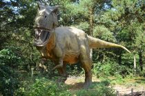 Seksualni život dinosaurusa je i dalje nepoznanica